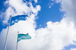 Linkoping_university_flags.jpeg